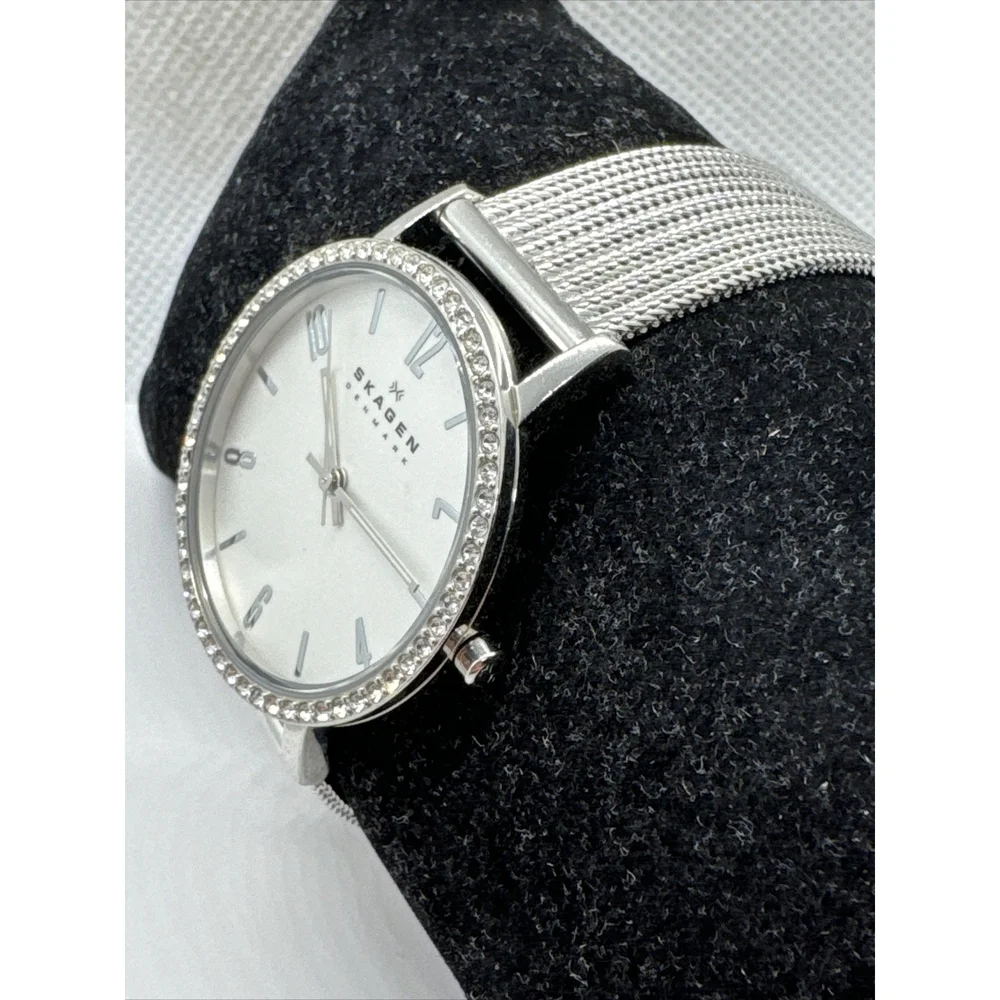 Skagen Denmark SKW2284 Women's Silver Stainless Steel Mesh Analog Watch AEA283